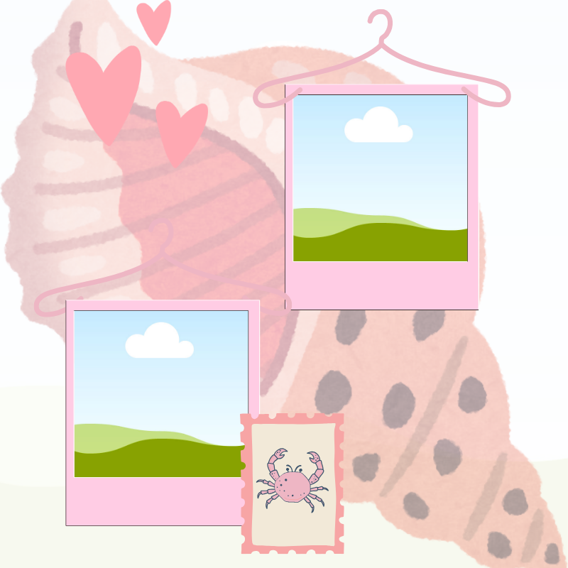 Pink Birthday Scrapbook Template | 24 Pages Digital Memory Book