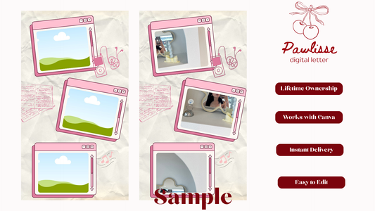Pink Music Instagram Story Template